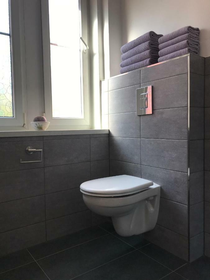 Apartman Havlickova Karlovy Vary Exterior photo